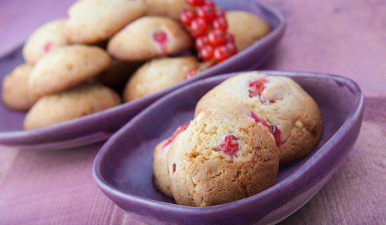 Biscotti-con-cioccolato-bianco-e-ribes_in-evidenza